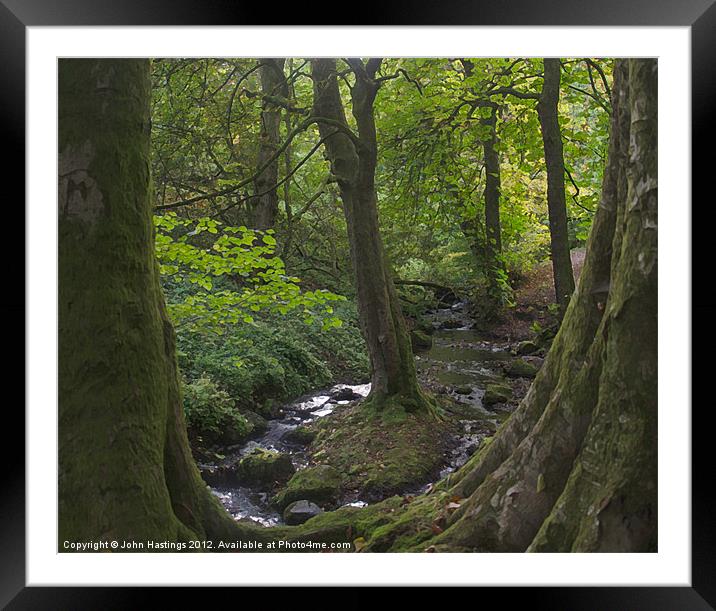 Tranquil Stream in Orry Woods Framed Mounted Print by John Hastings