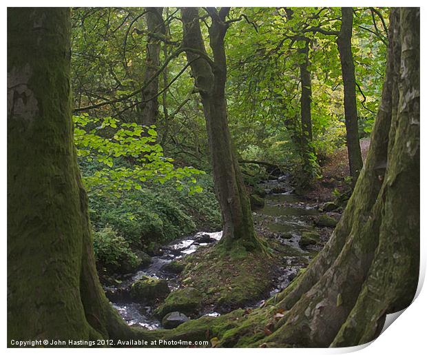 Tranquil Stream in Orry Woods Print by John Hastings