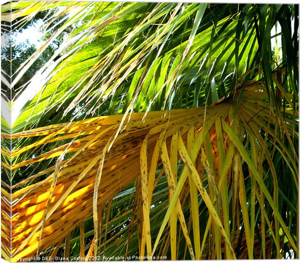 Palms yellow and green fronds Canvas Print by DEE- Diana Cosford