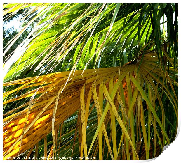 Palms yellow and green fronds Print by DEE- Diana Cosford