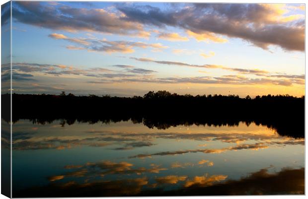 Cloudy Reflections Canvas Print by Sarah George