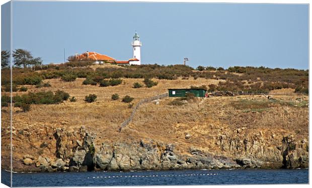 St Ivan Island Lighthouse Canvas Print by Tony Murtagh