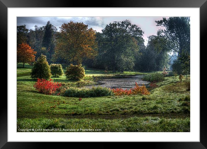 Autumn Morn. Framed Mounted Print by Colin Metcalf