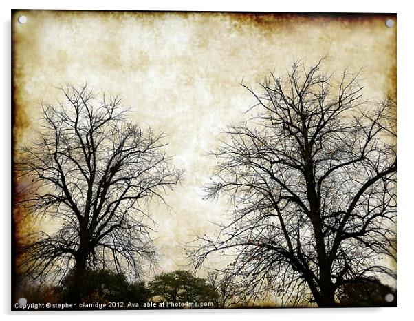 Vintage Tree silhouettes Acrylic by stephen clarridge