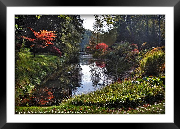 The Lake Framed Mounted Print by Colin Metcalf