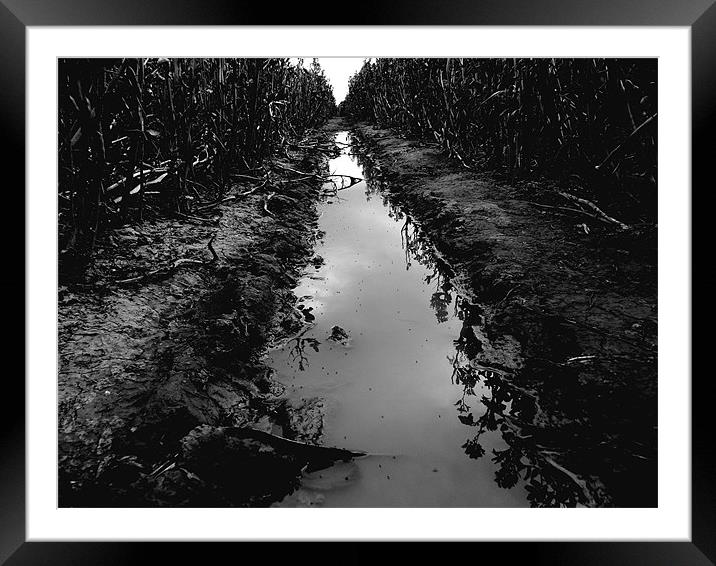 The Crops Framed Mounted Print by Jess Berry