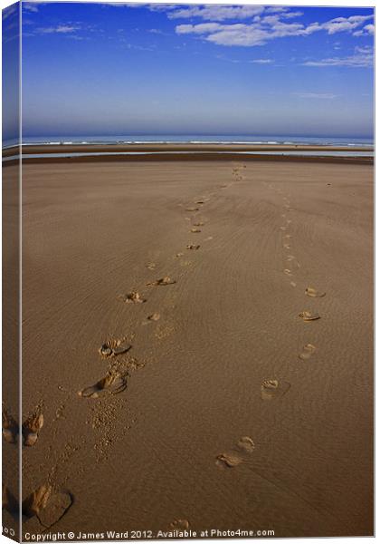 Footsteps on the beach 2 Canvas Print by James Ward