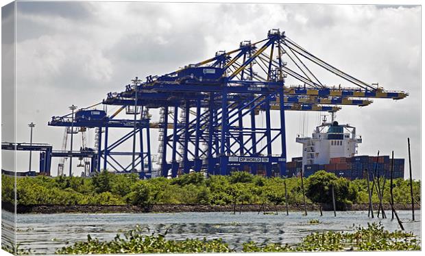 Kochin Container Terminal surounded by Hyacinth In Canvas Print by Arfabita  