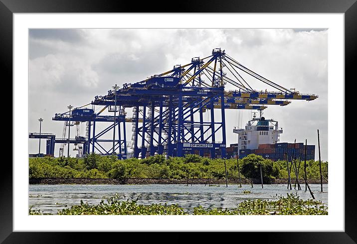 Kochin Container Terminal surounded by Hyacinth In Framed Mounted Print by Arfabita  