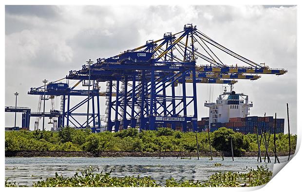 Kochin Container Terminal surounded by Hyacinth In Print by Arfabita  
