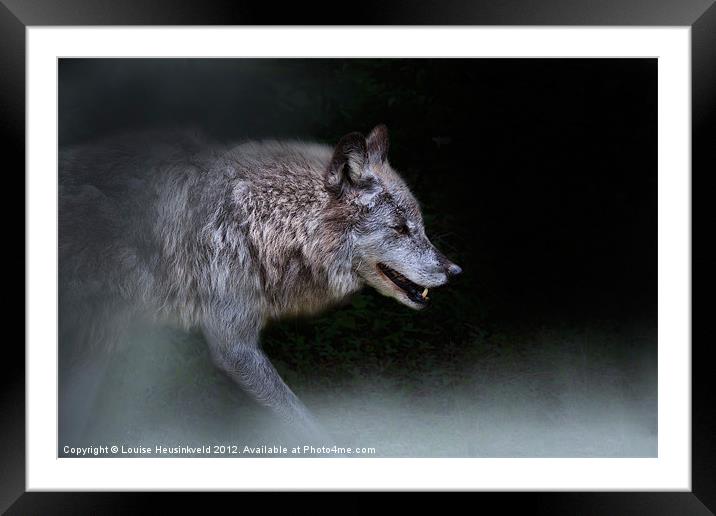 Prowling Wolf Framed Mounted Print by Louise Heusinkveld