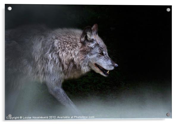 Prowling Wolf Acrylic by Louise Heusinkveld