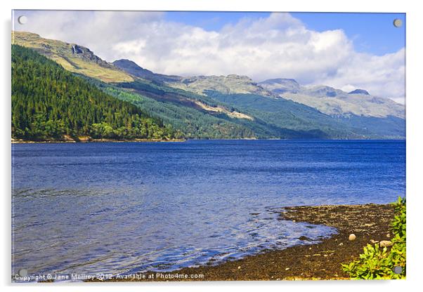 Loch Long, Argyll, Scotland Acrylic by Jane McIlroy