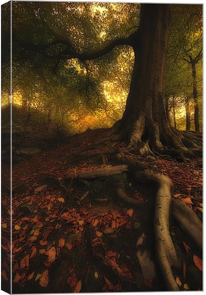 Autumn mood Canvas Print by Robert Fielding