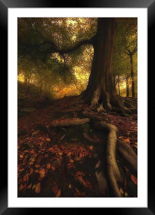 Autumn mood Framed Mounted Print by Robert Fielding