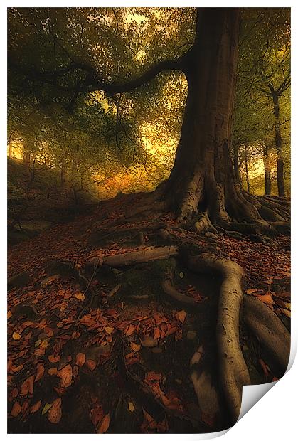 Autumn mood Print by Robert Fielding