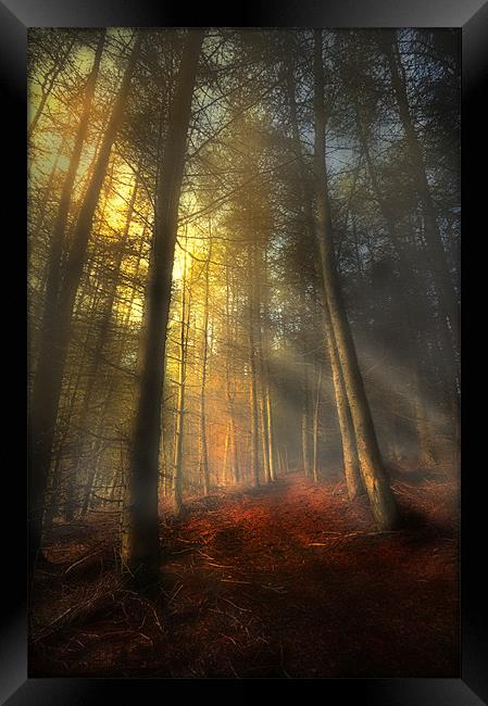 The rays of autumn Framed Print by Robert Fielding