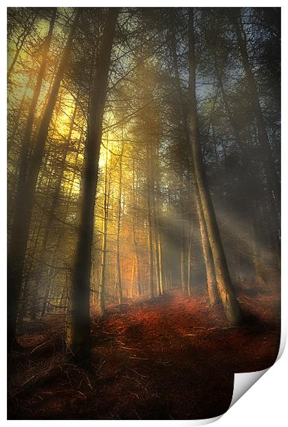 The rays of autumn Print by Robert Fielding