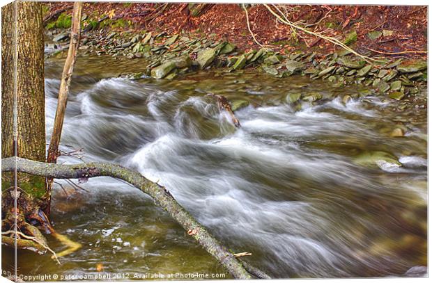 Creek Canvas Print by peter campbell