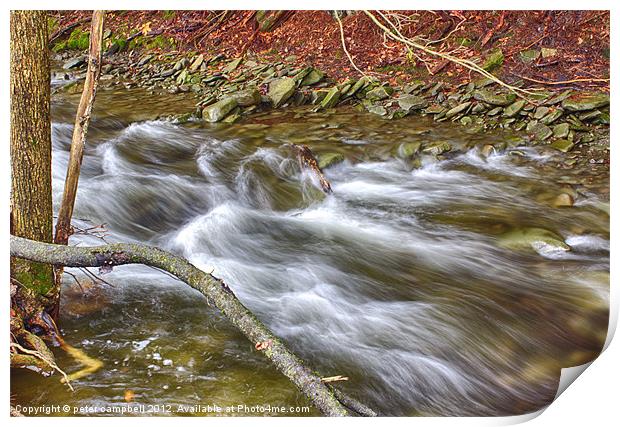 Creek Print by peter campbell