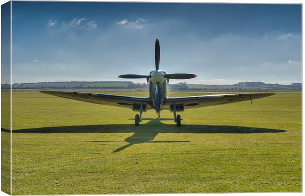 Graceful Spitfire Canvas Print by Gary Eason