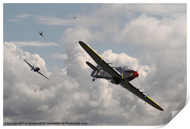 Hurricanes - 'Tally Ho' Print by Pat Speirs