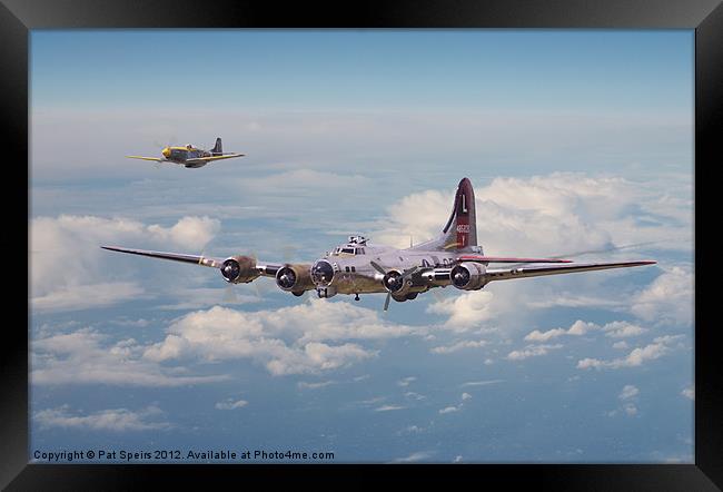 B17 - Little Friend Framed Print by Pat Speirs