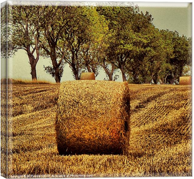 Hay Roll Canvas Print by M Palmer