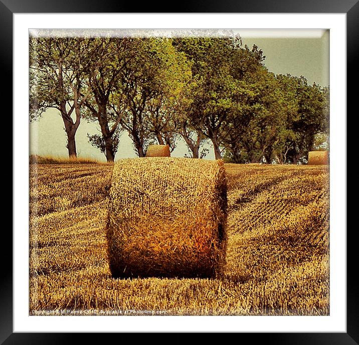 Hay Roll Framed Mounted Print by M Palmer