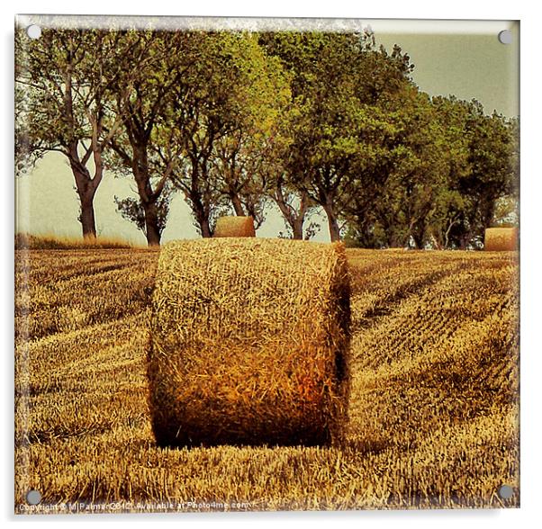 Hay Roll Acrylic by M Palmer
