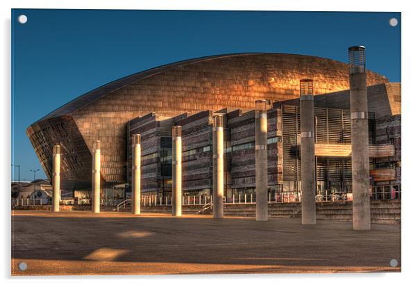 Wales Millennium Centre Acrylic by Steve Purnell