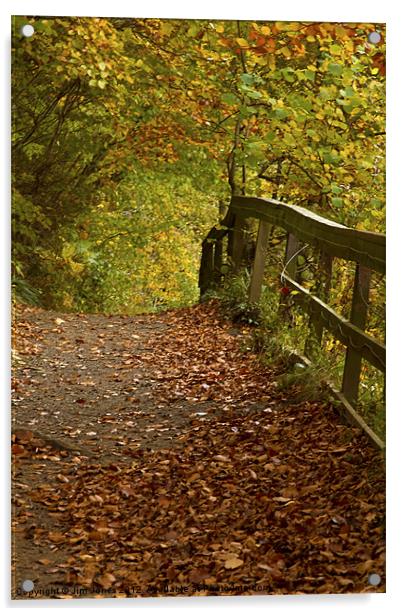 Golden Autumn Woodland Walk Acrylic by Jim Jones