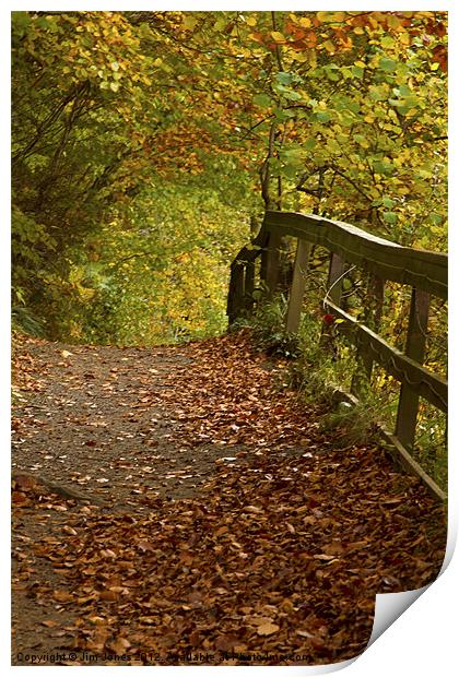 Golden Autumn Woodland Walk Print by Jim Jones