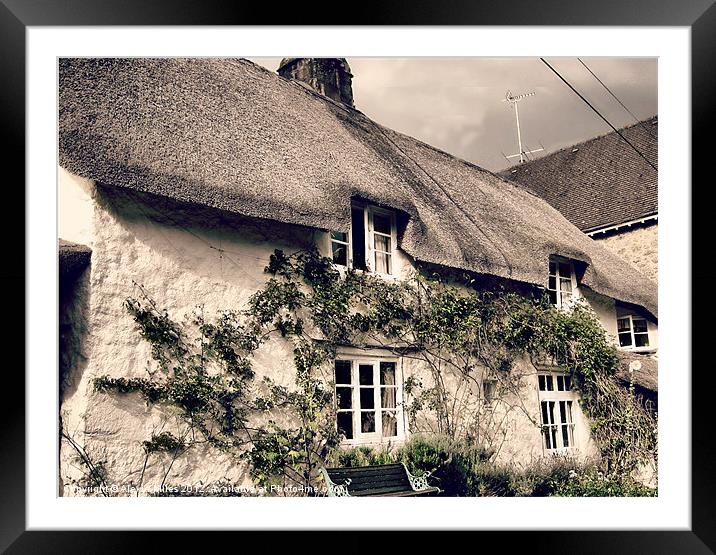 Thatch Devonshire Cottage Framed Mounted Print by Alexia Miles
