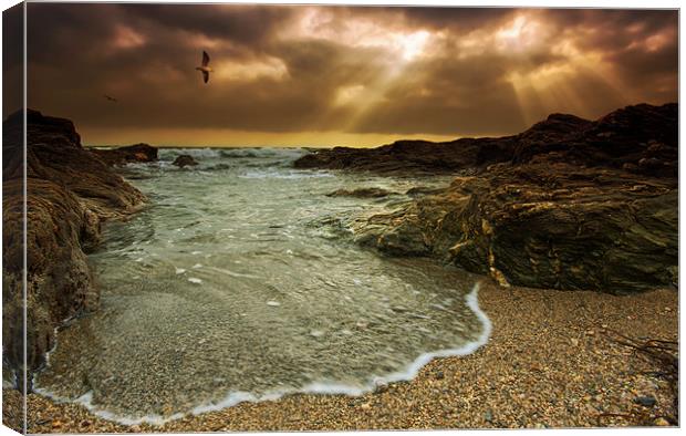 Horseley Cove Canvas Print by mark leader