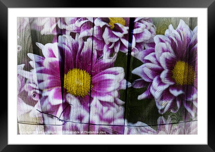 Wooden flowers Framed Mounted Print by Nathan Wright