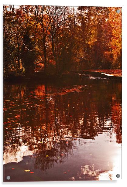 Reflections of Autumn Acrylic by Dawn Cox