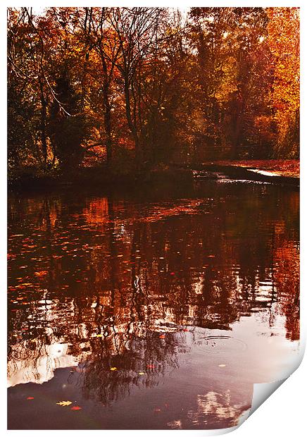 Reflections of Autumn Print by Dawn Cox
