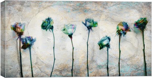 Painting the roses Canvas Print by Chris Manfield