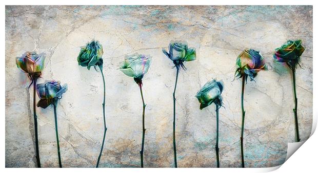 Painting the roses Print by Chris Manfield