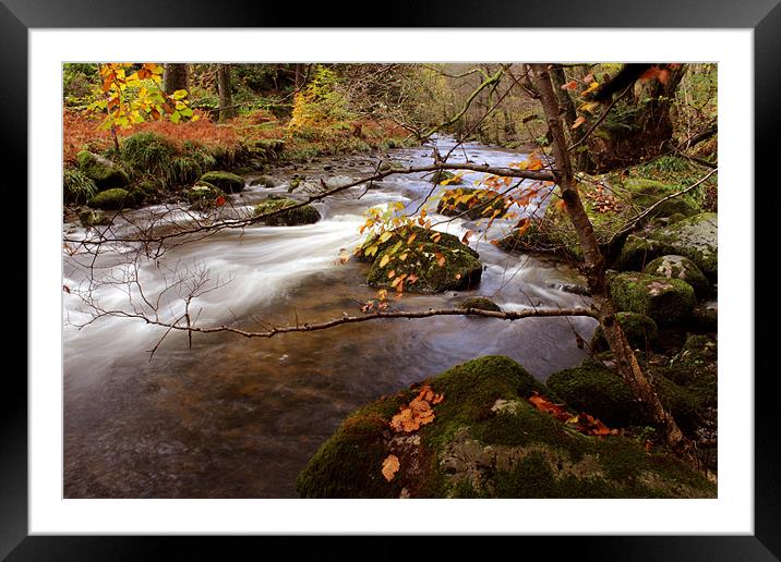 Autumn, Aira Beck, Cumbria Framed Mounted Print by Gavin Wilson