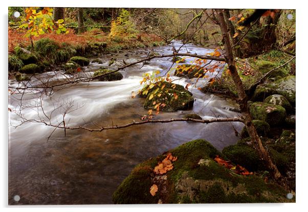 Autumn, Aira Beck, Cumbria Acrylic by Gavin Wilson