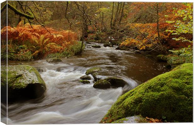 Autumn, Lake District, Cumbria Canvas Print by Gavin Wilson