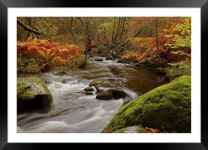 Autumn, Lake District, Cumbria Framed Mounted Print by Gavin Wilson