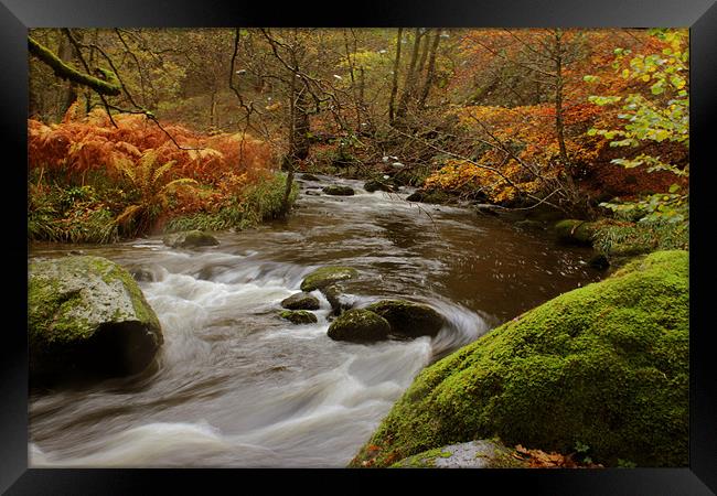 Autumn, Lake District, Cumbria Framed Print by Gavin Wilson