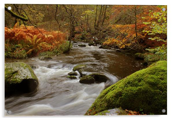 Autumn, Lake District, Cumbria Acrylic by Gavin Wilson