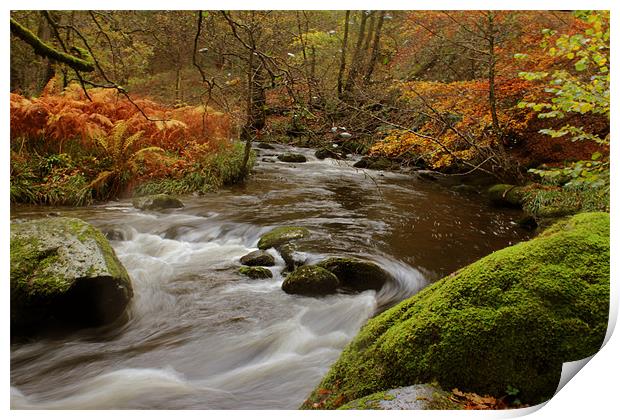 Autumn, Lake District, Cumbria Print by Gavin Wilson