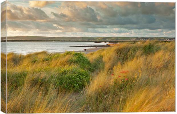 Last light On Instow Sand Dunes Canvas Print by Andrew Wheatley