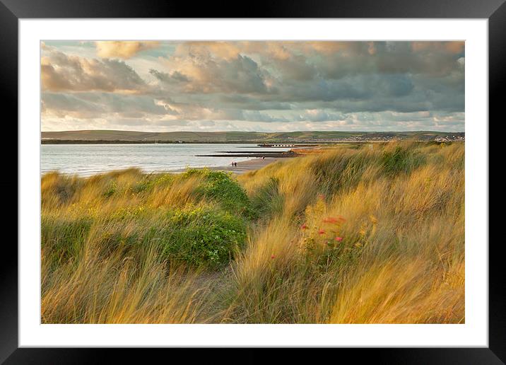 Last light On Instow Sand Dunes Framed Mounted Print by Andrew Wheatley