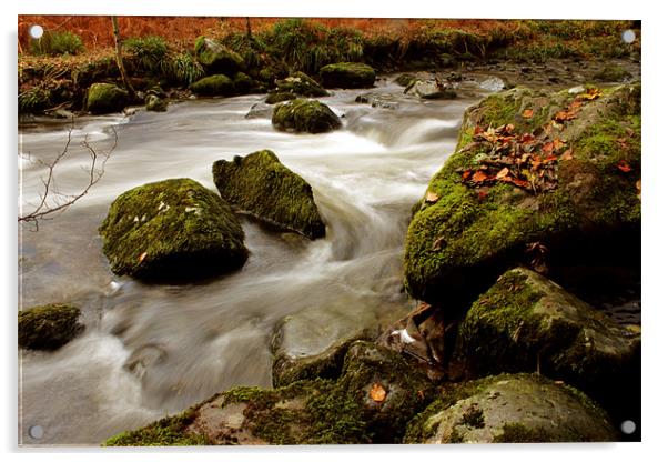 Autumn River Acrylic by Gavin Wilson